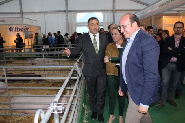 El Gobierno regional refuerza su apoyo al sector ganadero simplificando los trámites para ampliar o abrir nuevas explotaciones - 1, Foto 1