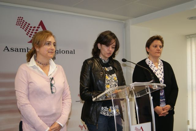 El PSOE quiere hacer un censo real desglosado sobre discapacidad para conocer a fondo los problemas de este colectivo y buscar soluciones - 1, Foto 1