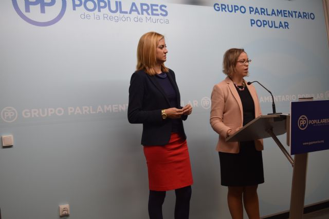 El GPP propone el voto telemático para los diputados de baja por maternidad, paternidad o enfermedad grave - 1, Foto 1