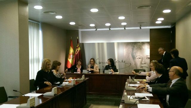 Podemos apuesta por trabajar en la accesibilidad universal y el diseño para todas las personas con discapacidad - 1, Foto 1