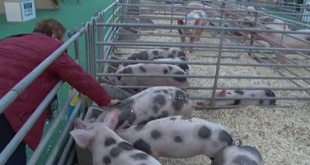 Pedro Antonio Sánchez destaca el gran escaparate que supone SEPOR, que demuestra el potencial ganadero murciano - 4, Foto 4