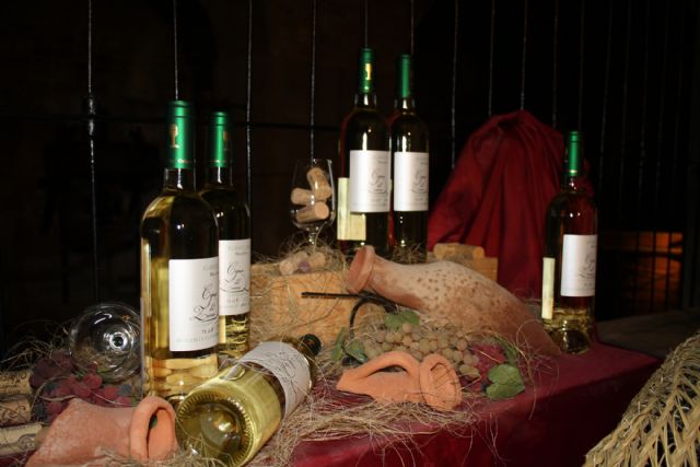 Bodega San Isidro presenta la añada 2015 de su vino blanco 'Cepas del Zorro' - 4, Foto 4