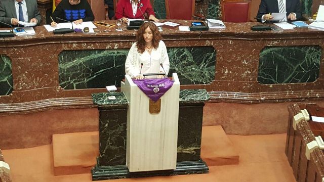 Podemos consigue que el Instituto de la Mujer recupere el lugar que merece - 1, Foto 1