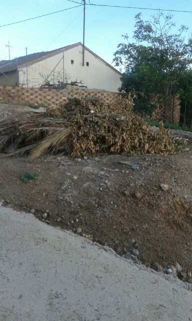 Alternativa Socialista se hace eco de las demandas de los vecinos de Ugejar - 2, Foto 2