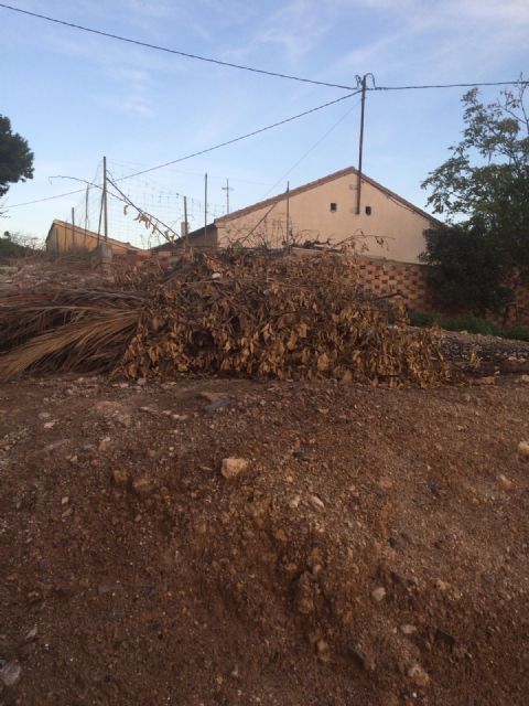 Alternativa Socialista se hace eco de las demandas de los vecinos de Ugejar - 5, Foto 5