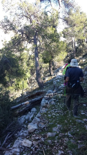 Una treintena de personas participaron en una jornada de senderismo por la Senda del Piojo (Sierra Espuña), Foto 7