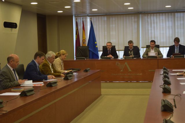 Patricia Fernández: No queremos comisiones de persecución sino ser útiles a la Región de Murcia - 1, Foto 1