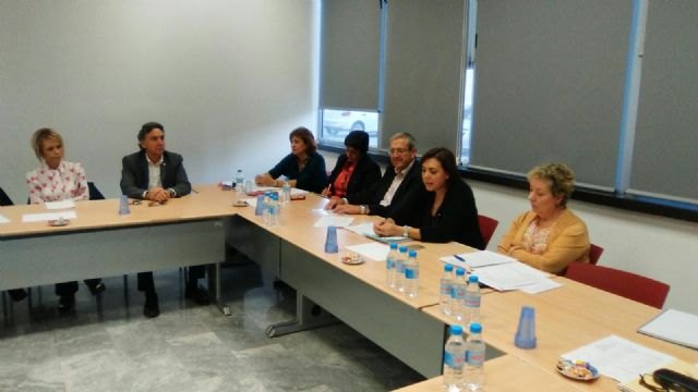 El Consejo Asesor de Salud Mental constituye las comisiones sobre instituciones penitenciarias, incapacidad y tutela y estigma - 1, Foto 1