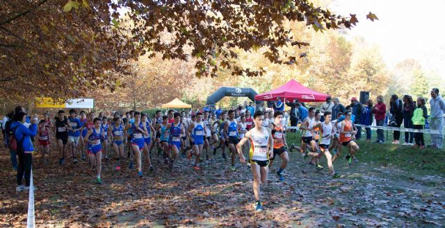 Más de 700 atletas disfrutaron de una jornada de cross en las Fuentes del Marqués - 1, Foto 1