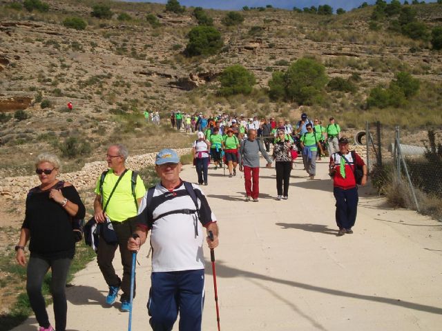 La sexta ruta del Programa de Senderismo llevó a los mayores a las aguas termales de Fortuna - 1, Foto 1