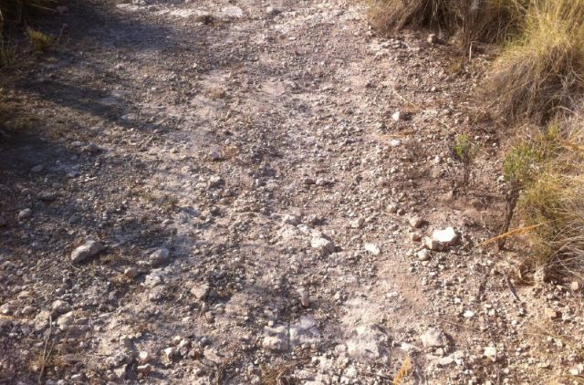 El PP pide el arreglo de varios caminos rurales por ser infraestructura esencial de la actividad agrícola - 1, Foto 1
