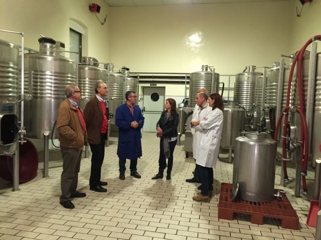 El Laboratorio Enológico de Jumilla ha analizado en el último año 5.000 muestras provenientes de toda España - 1, Foto 1