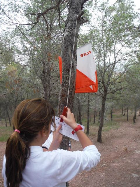 Una actividad de orientación y tirolina, propuesta para los torreños más aventureros - 1, Foto 1