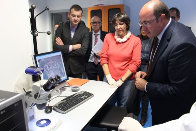 Pedro Antonio Sánchez: La Politécnica de Cartagena es referente de éxito y excelencia, y ejemplo de buen hacer para el proyecto futuro de la Región - 4, Foto 4