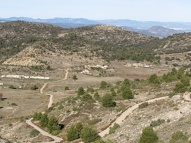 Reforestacin en el paraje de Prado Mayor, en el Parque Regional de Sierra Espuña - 13