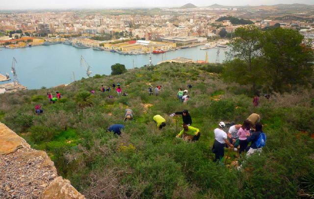 ARBA recupera los bosques del Puerto de Cartagena con la plantación de 1000 árboles autóctonos - 2, Foto 2