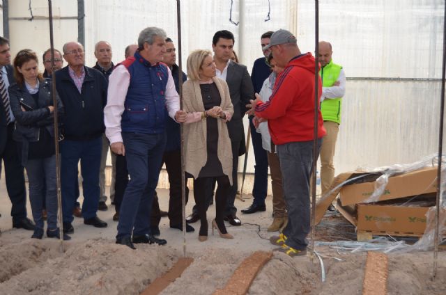 El Ayuntamiento cederá 7000 metros a la Consejería de Agua y Agricultura para ampliar la finca experimental de El Mirador - 1, Foto 1