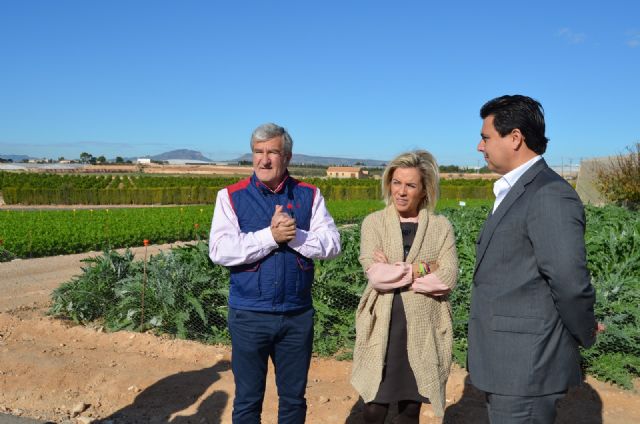 El Ayuntamiento cederá 7000 metros a la Consejería de Agua y Agricultura para ampliar la finca experimental de El Mirador - 2, Foto 2