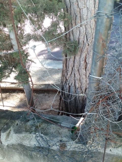 CCOO Enseñanza apoya a los padres y madres de los alumnos del CEIP Antonio Machado en sus movilizaciones - 3, Foto 3