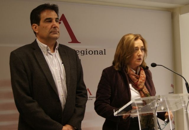 Los presupuestos de la Consejería de Sanidad no son los que la Región necesita, no resuelven los problemas y vuelven a utilizar al SMS como tapadera del déficit regional - 1, Foto 1