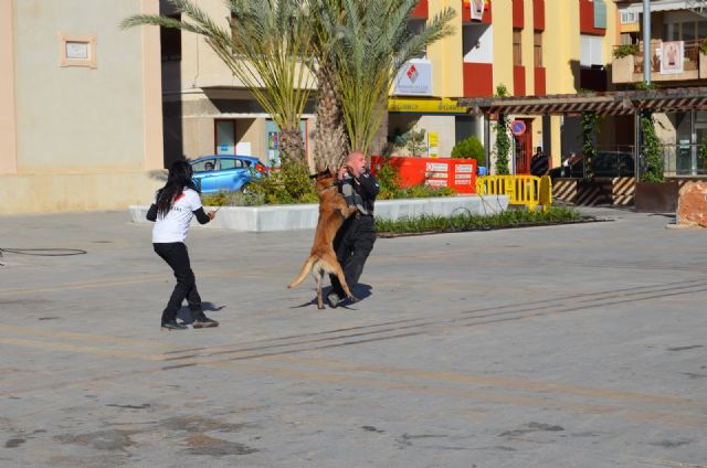Perros contra la violencia machista - 2, Foto 2