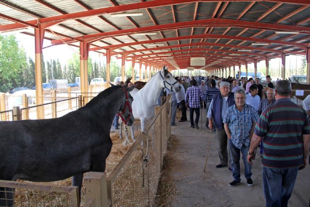 Puerto Lumbreras acogerá este fin de semana la tradicional Feria de Ganado Equino 2015 - 1, Foto 1