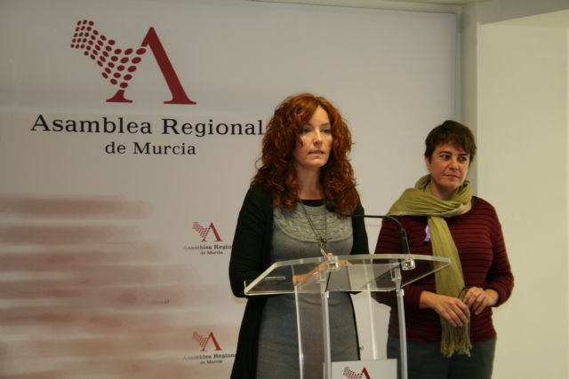 Podemos apuesta por la accesibilidad para todos - 1, Foto 1