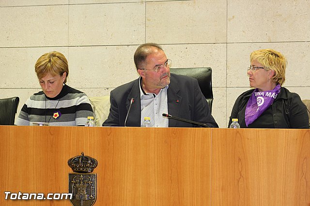Pleno ordinario noviembre 2015 - Mocin sobre proyecto de Lnea de Alta Tensin 
