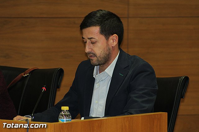 Pleno ordinario noviembre 2015 - Mocin sobre proyecto de Lnea de Alta Tensin 