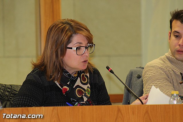 Pleno ordinario noviembre 2015 - Mocin sobre proyecto de Lnea de Alta Tensin 