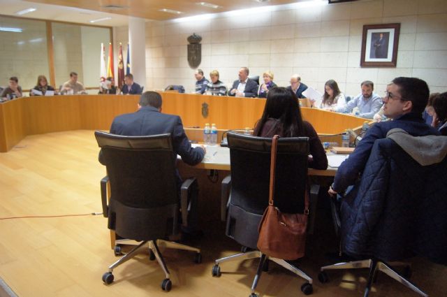 El Pleno exige al Ministerio de Industria y Energía la paralización inmediata y modificación del proyecto de la Línea de Alta Tensión Lorca Solar PV - 1, Foto 1