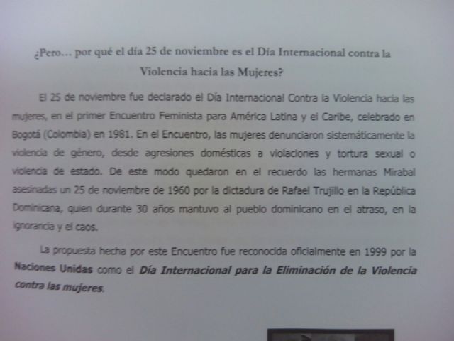 El IES Prado Mayor conmemor el Da Internacional Contra La Violencia de Gnero - 11