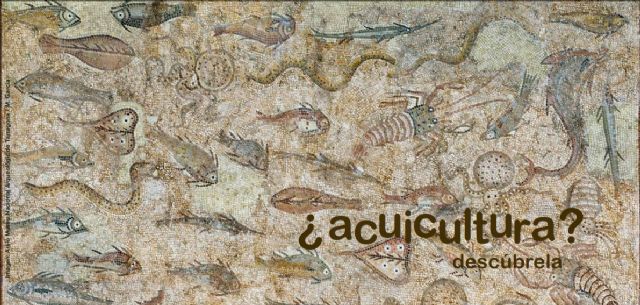 ¿Acuicultura? Descúbrela, en el Museo Nacional de Arqueología Subacuática (ARQUA) - 1, Foto 1