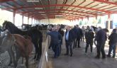 Inaugurada la tradicional Feria de Ganado Equino, con la participación de más de 400 cabezas de ganado