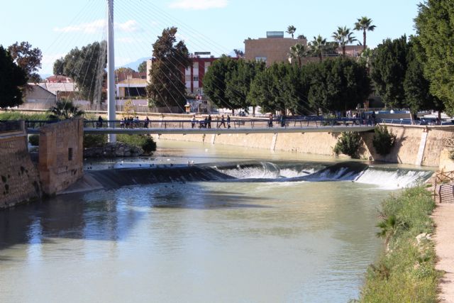 La CHS colocará una escala para peces en el azud de los Molinos del río Segura en la ciudad de Murcia - 1, Foto 1