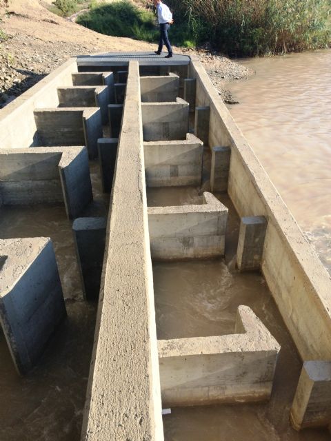 La CHS colocará una escala para peces en el azud de los Molinos del río Segura en la ciudad de Murcia - 3, Foto 3