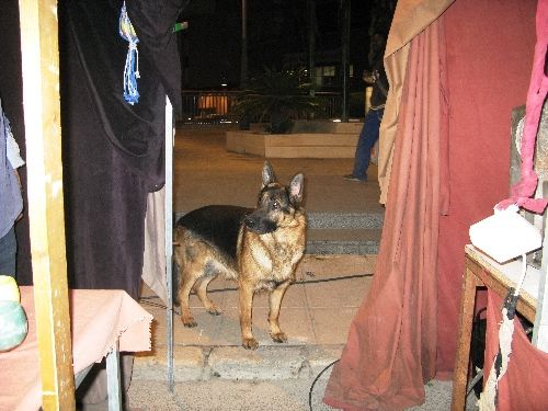 Éxito de visitantes al tradicional Mercado Medieval, celebrado este fin de semana - 5, Foto 5