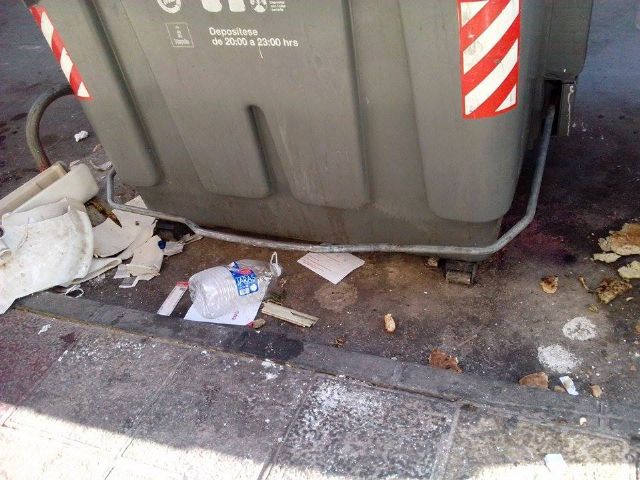 El PSOE denuncia que hay calles de El Carmen por las que no pasa el servicio de limpieza desde hace días - 2, Foto 2