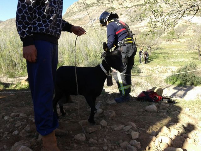 Los Bomberos rescatan a una cabra de un pozo de 14 metros - 3, Foto 3