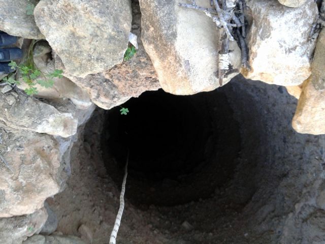 Los Bomberos rescatan a una cabra de un pozo de 14 metros - 4, Foto 4