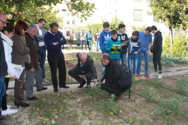 45 centros y más de 6000 personas han participado en la Red de Huertos Escolares Ecológicos del Ayuntamiento de Murcia - 2, Foto 2