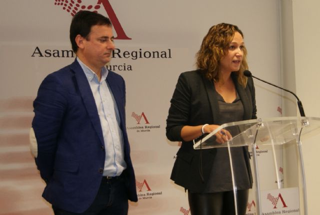El escaso presupuesto del Gobierno regional para Cultura en 2016 confirma el estrangulamiento del sector en la Región - 1, Foto 1