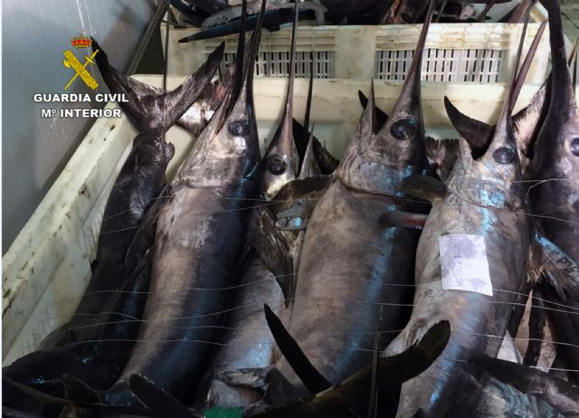 Interceptan cuatro embarcaciones en Mazarrón con tonelada y media de pez espada capturado ilícitamente - 4, Foto 4