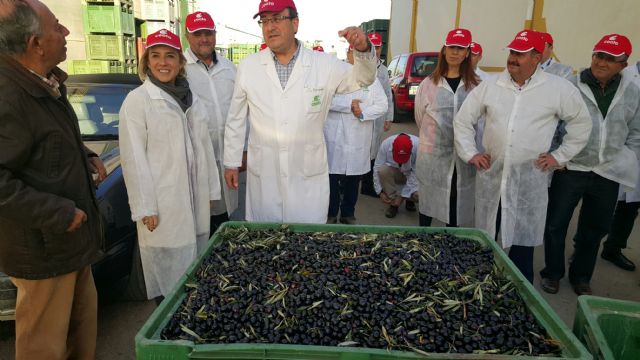 Visita de la consejera de Agua, Agricultura y Medio Ambiente, Adela Martínez Cachá a la cooperativa COATO