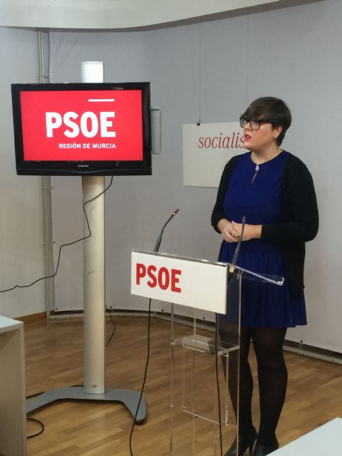 El PSOE afirma que el  PP quiere vender en plena campaña electoral unos logros que no ha hecho en cuatro años - 1, Foto 1