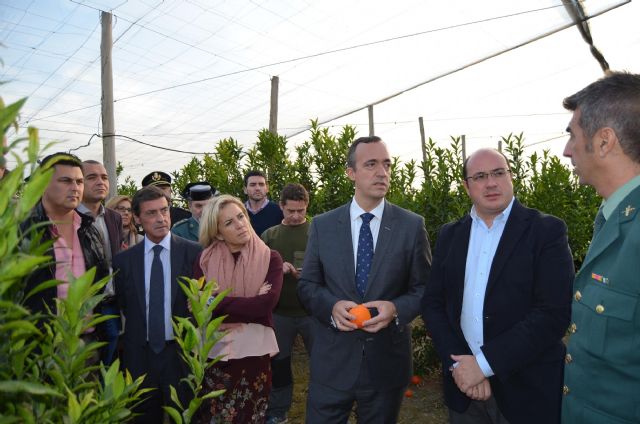 Los robos en las explotaciones agrícolas de la Región de Murcia descienden un 37% desde la puesta en marcha de los grupos ROCA, de la Guardia Civil - 1, Foto 1