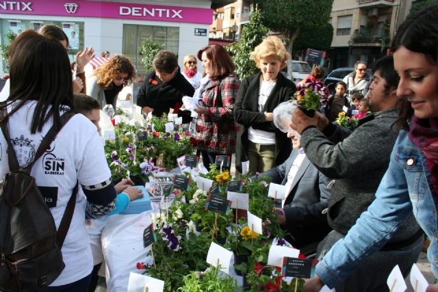 Los alumnos del Colegio de Educación Especial Eusebio Martínez y su excelente Mercadillo de Plantas - 4, Foto 4