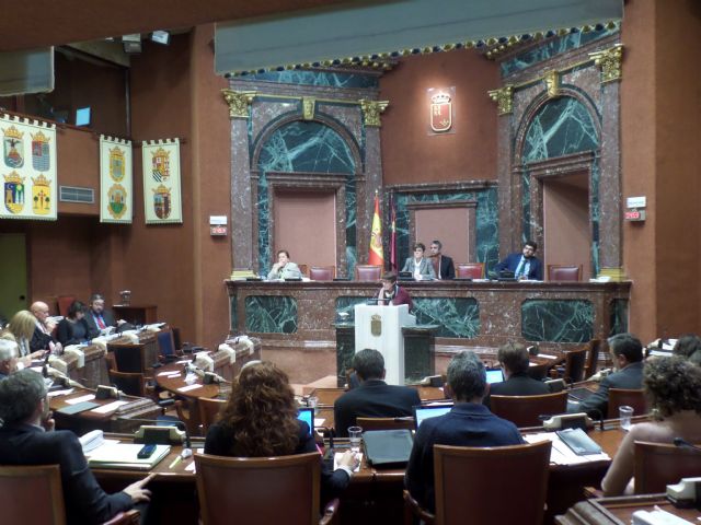 El COP Murcia agradece la defensa unánime de todos los grupos políticos a la Libertad de Prensa en la Asamblea Regional - 2, Foto 2