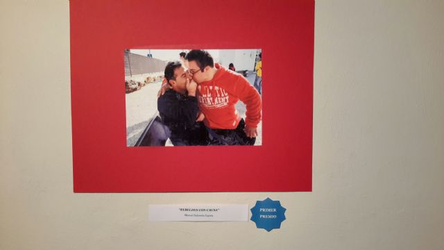 Manuel Salomón gana el I Concurso de Fotografía y Discapacidad - 2, Foto 2