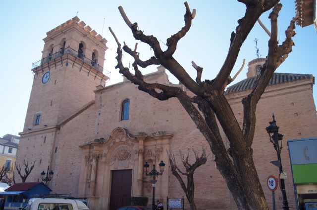 La Concejalía de Servicios poda el arbolado de la plaza de la Constitución - 1, Foto 1